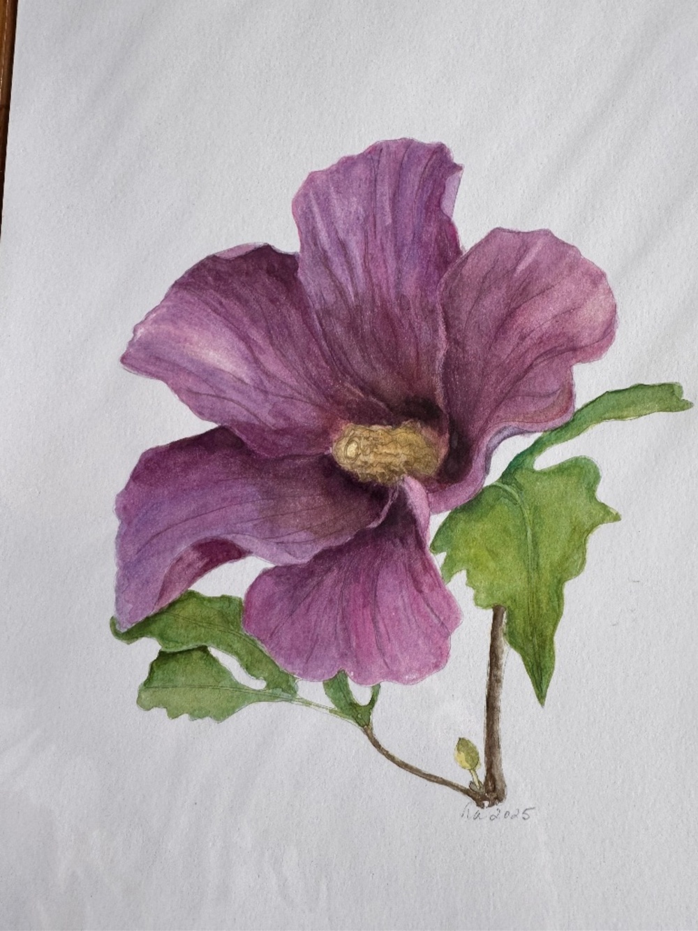 Botanical watercolor prints
